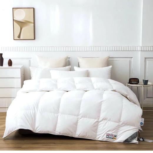 蒙口鹅绒被 商品图3