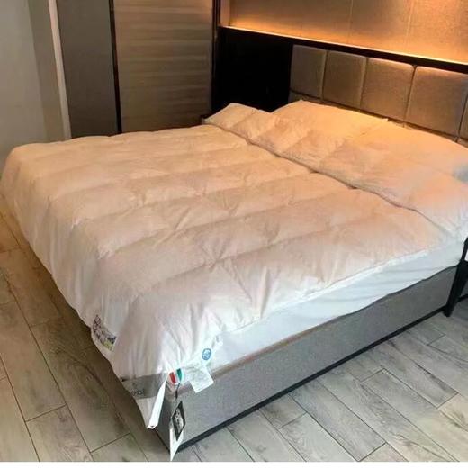 蒙口鹅绒被 商品图1