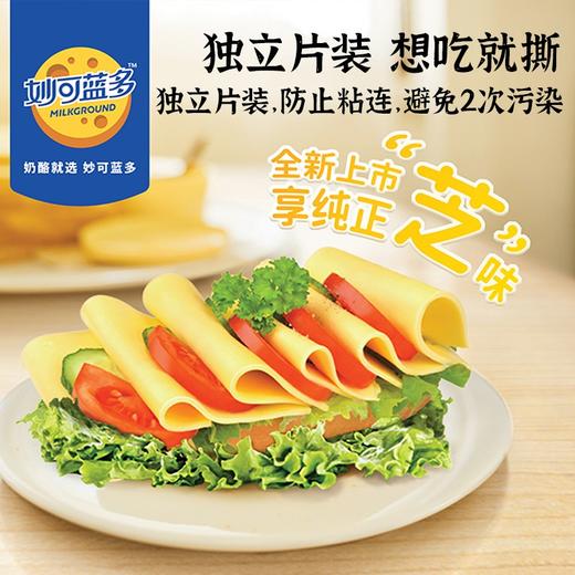 妙可蓝多原味奶酪片83g（五片装） 商品图1