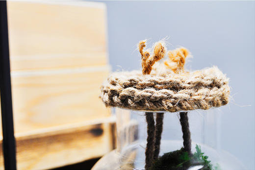 悬浮太空 （大） 商品图6