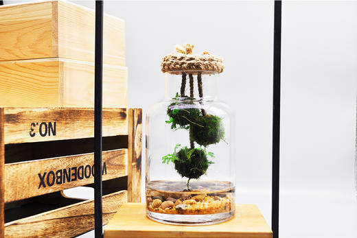 悬浮太空 （大） 商品图0