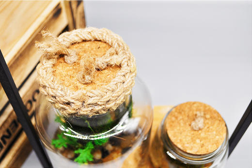 悬浮太空 （小） 商品图6