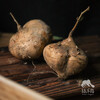 生态沙葛 | 合作生产*Ecological Jicama | Coproducted 商品缩略图3