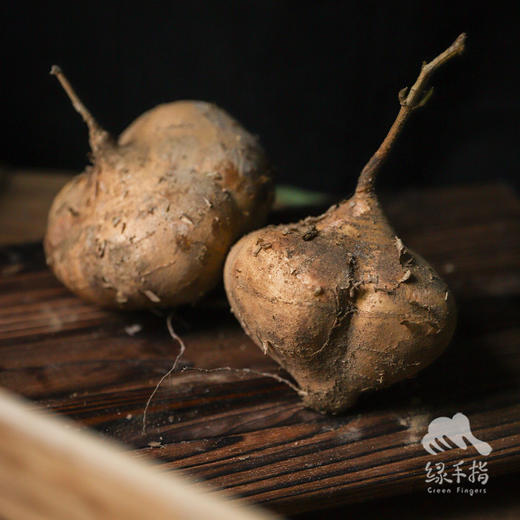 生态沙葛 | 合作生产*Ecological Jicama | Coproducted 商品图3