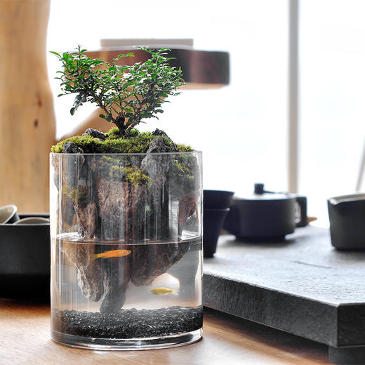 绝处逢生 商品图2