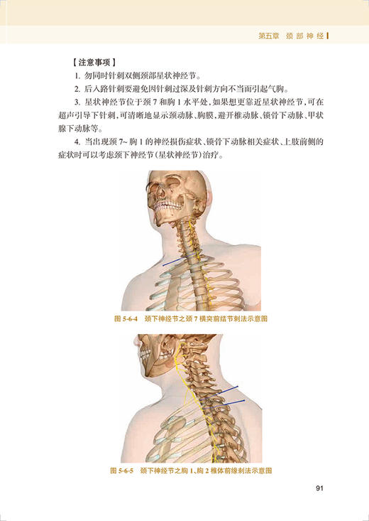 结构针灸解剖基础与刺法精要 周围神经分册 附视频讲解 结构针灸研究丛书 针刺取效关键环节 关玲著 人民卫生出版社9787117338462 商品图3