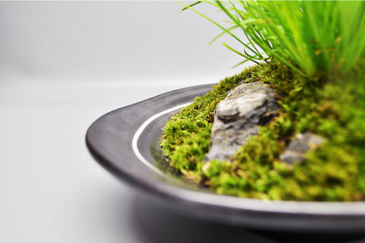 茶室侠客 商品图5