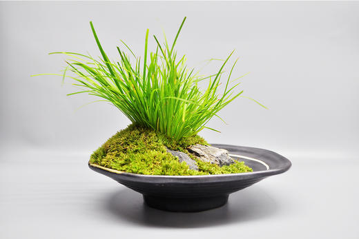 茶室侠客 商品图7