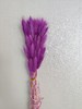 【干花】兔尾草 多色可选 扎 商品缩略图11