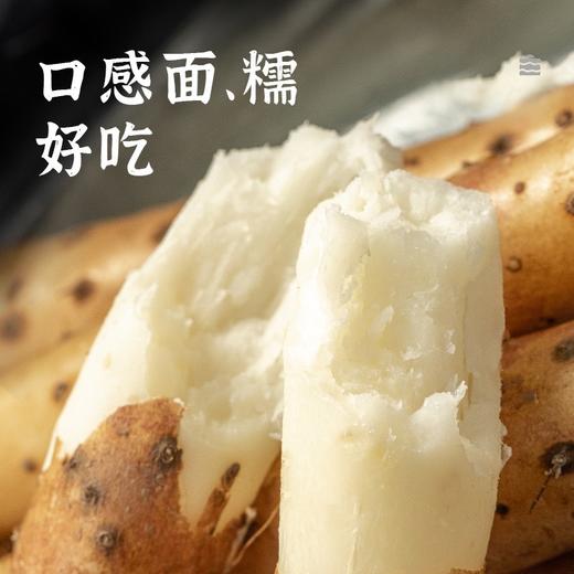 璞匠河南焦作温县垆土铁杆铁棍怀山药淮山药铁桂新鲜5斤装 商品图2