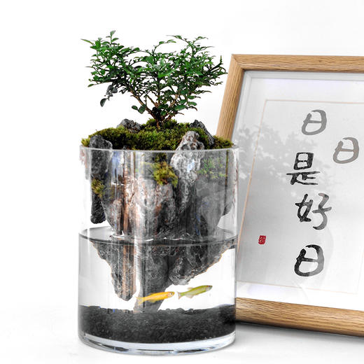 绝处逢生 商品图0