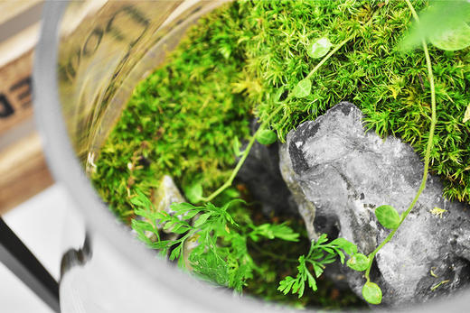 蒸蒸日上 商品图10