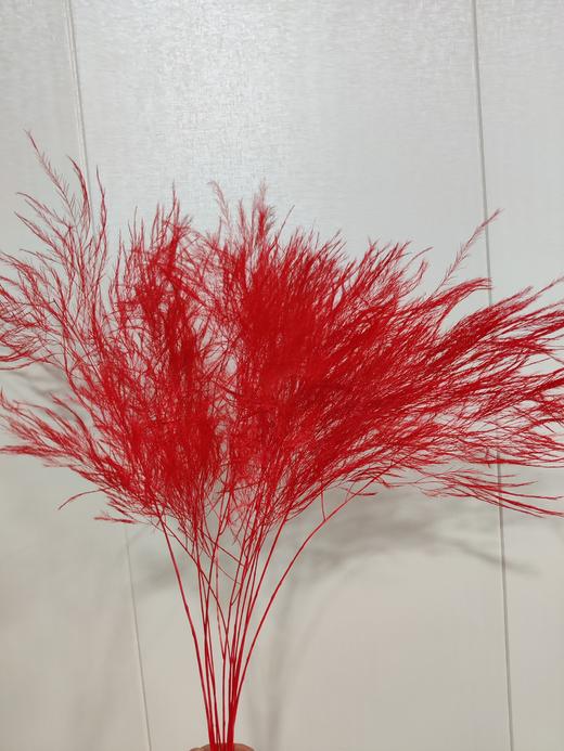 【干花】石草 多色可选 扎 商品图7