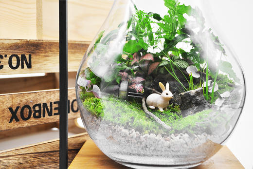 梦游仙境 商品图6