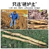 璞匠河南焦作温县垆土铁杆铁棍怀山药淮山药铁桂新鲜5斤装 商品缩略图1