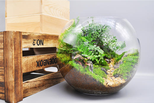 丛林法则 商品图9