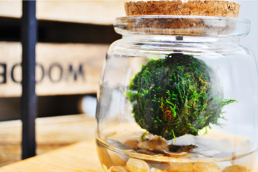 悬浮太空 （小） 商品图2