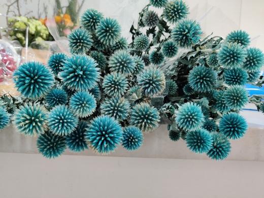 【干花】蓝星球 多色可选 扎 商品图0