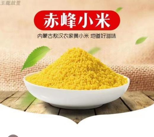 赤峰小米（杂粮组） 商品图0