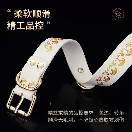 roomfun房趣 埃及猫束缚套装 商品图4