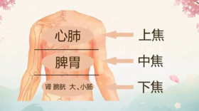 疏通三焦，教你几个小妙招~