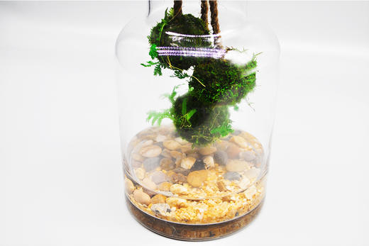 悬浮太空 （大） 商品图9