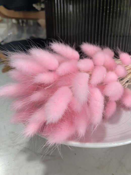 【干花】兔尾草 多色可选 扎 商品图14