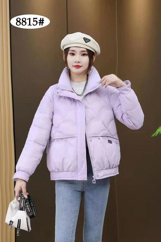 仟羽佰川8815羽绒服  员工码80640105编码:05405412 商品图0