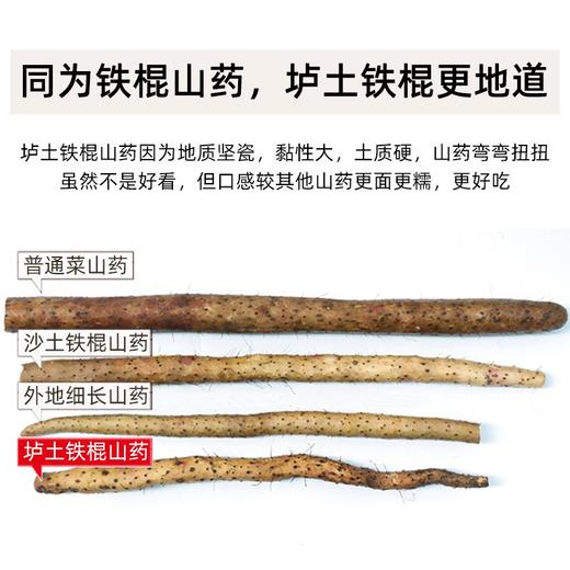 璞匠河南焦作温县垆土铁杆铁棍怀山药淮山药铁桂新鲜5斤装 商品图3