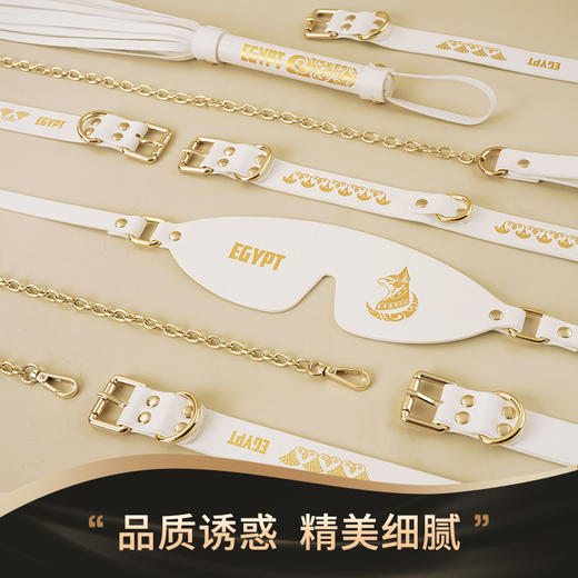 roomfun房趣 埃及猫束缚套装 商品图3