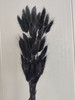 【干花】兔尾草 多色可选 扎 商品缩略图2