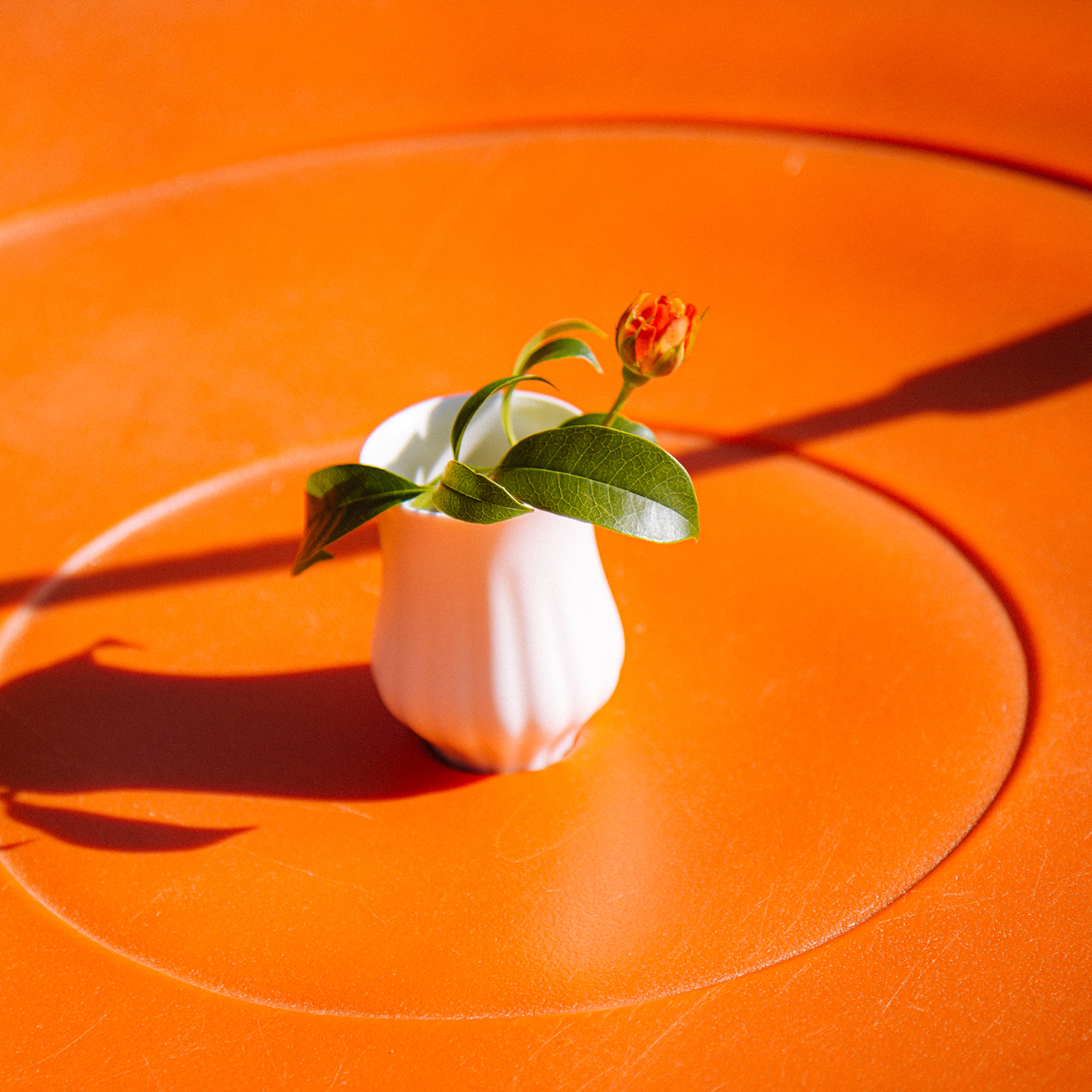 Ceremorningx融白 联名款花香杯 瓷泥米白釉闻香手冲咖啡中深美式