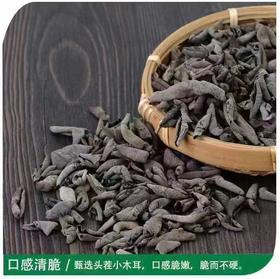 东北原产秋木耳