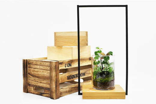 水晶森林 商品图3