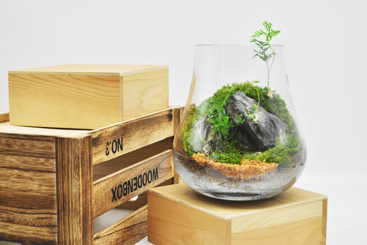 蒸蒸日上 商品图8