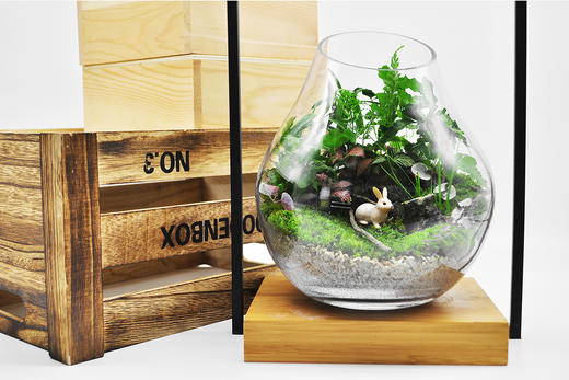 梦游仙境 商品图5