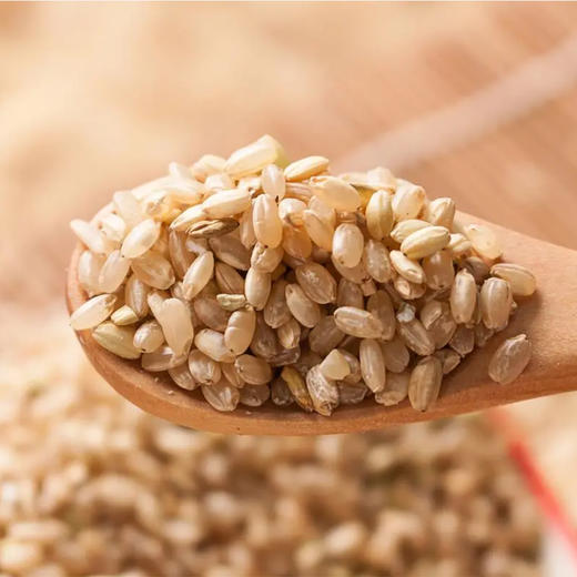 册亨有选 糙米 500g 商品图1