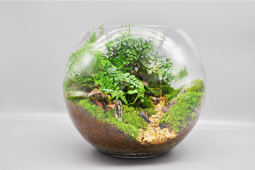 丛林法则 商品图8