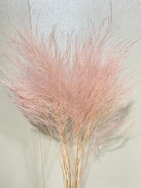 【干花】石草 多色可选 扎