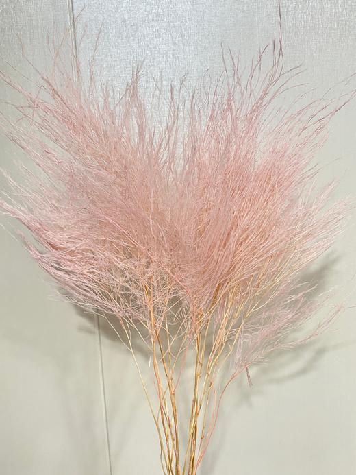 【干花】石草 多色可选 扎 商品图0