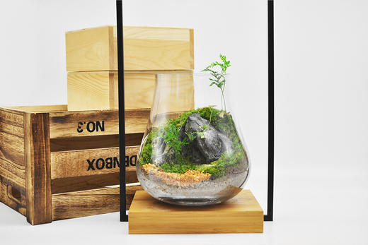 蒸蒸日上 商品图0