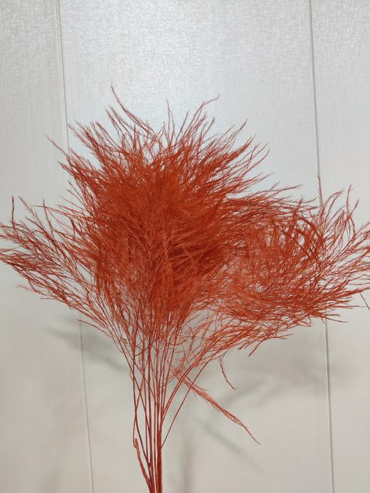 【干花】石草 多色可选 扎 商品图8