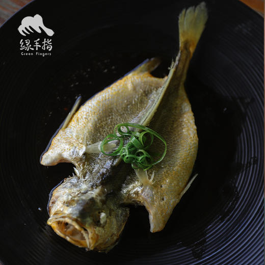 野生东山岛黄花鱼| 合作生产 * Wild yellow croaker | Coproduction 商品图3