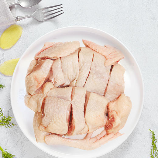 天农原种清远鸡块 商品图2