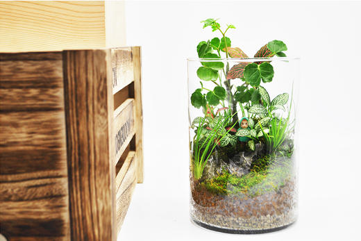 水晶森林 商品图8