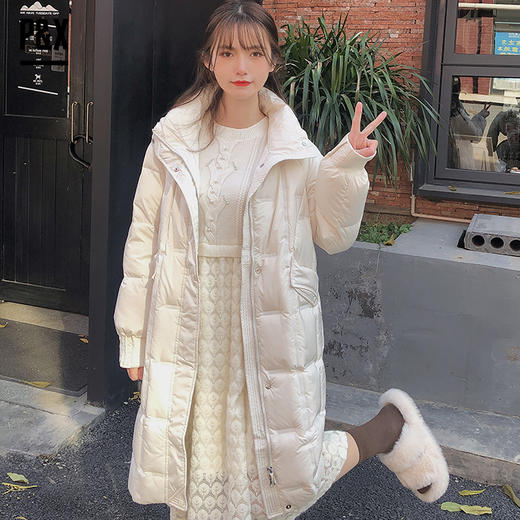 P&X设计师女装 2022冬季新款 长款羽绒服 822424574 商品图2