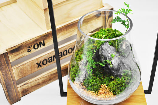 蒸蒸日上 商品图3