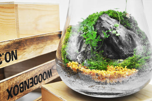 蒸蒸日上 商品图9