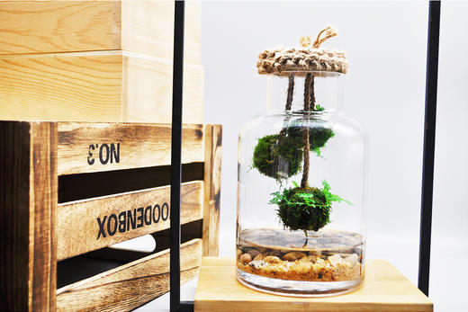 悬浮太空 （大） 商品图1