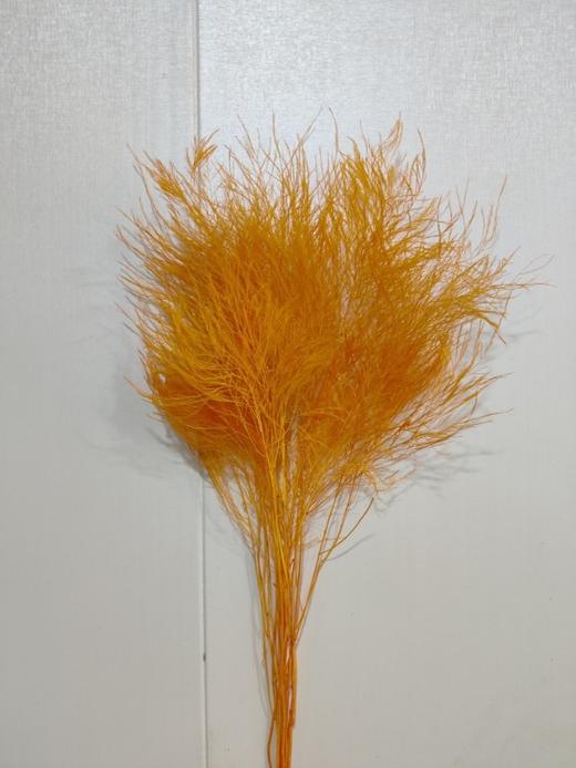 【干花】石草 多色可选 扎 商品图2